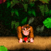 1jps gaming 90s snes dk GIF