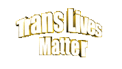 Trans Translivesmatter Sticker by GIPHY Text