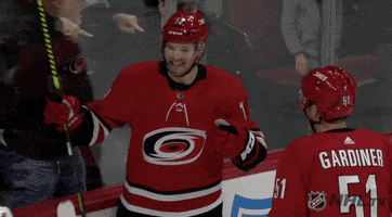 Ice Hockey GIF by NHL