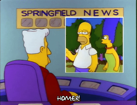 Season 3 Episode 13 GIF by The Simpsons