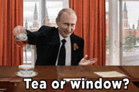 Vladimir Putin Russia GIF