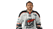 Hokej Pirati Sticker by Piráti Chomutov