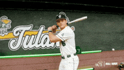 College Baseball Lee GIF by GreenWave