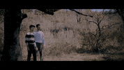 Explore Looking For GIF by flybymidnight