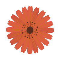 Flower Spring Sticker by closetsingapore