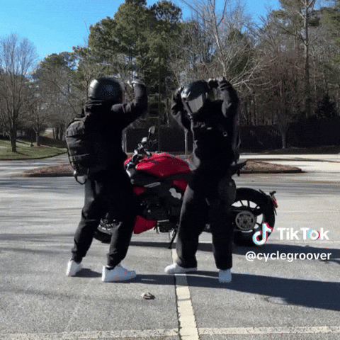 Fight Fighting GIF