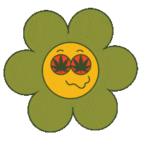 Buffalo Sticker by Bison Botanics