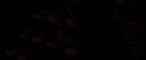 sic them youngins on 'em GIF by Ice Cube