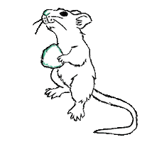 feline souris Sticker by Team BP