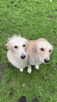 GIF by Organic Bunny
