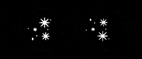 niveshetcohen niv niveshet niveshetcohen niv logo GIF