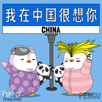 China Travel GIF by Pudgy Penguins