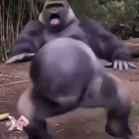 New York Dance GIF