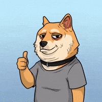 Shiba Inu Yes GIF by Doge Pound