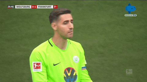 Happy Celebration GIF by MolaTV