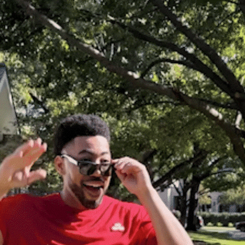 Super Bowl Wave GIF by State Farm