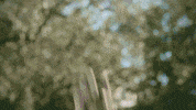 season 2 transformation GIF by Anime Crimes Division