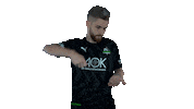 E-Sports Diefohlen Sticker by Borussia Mönchengladbach