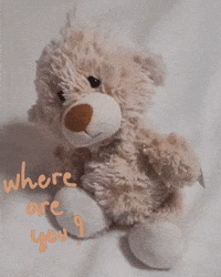Teddy Bear Wow GIF