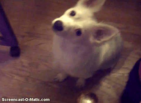listening GIF