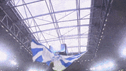 Football Soccer GIF by FC Schalke 04