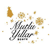 2020 Sticker by bontesoft