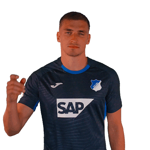 Grischa Prömel Sport Sticker by TSG Hoffenheim