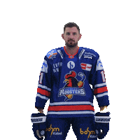 Happy Sport Sticker by Iserlohn Roosters