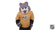 Ice Hockey Idk GIF by NHL