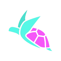 Turtle Writer Sticker by haere