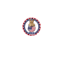 American Usa Sticker by Pimp Yo Pets