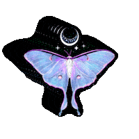 Magic Witchcraft Sticker