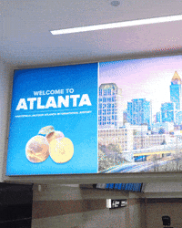 cityrockseybl basketball travel city rocks cityrocksbasketball GIF