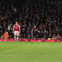 Premier League Sport GIF by CPFC