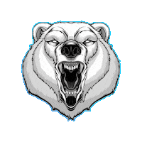 Eat Albert Heijn Sticker by Bear Eats Tiger