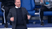 Leicester No GIF by MolaTV