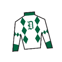 Sport Silk Sticker by Kentucky Derby