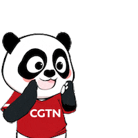 Happy Panda Sticker by CGTN V-Studio