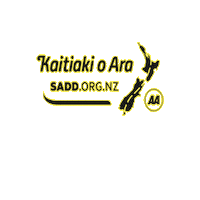 Road Safety Drive Safe Sticker by SADD NZ