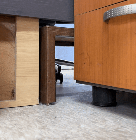 cuteanimalland giphyupload GIF