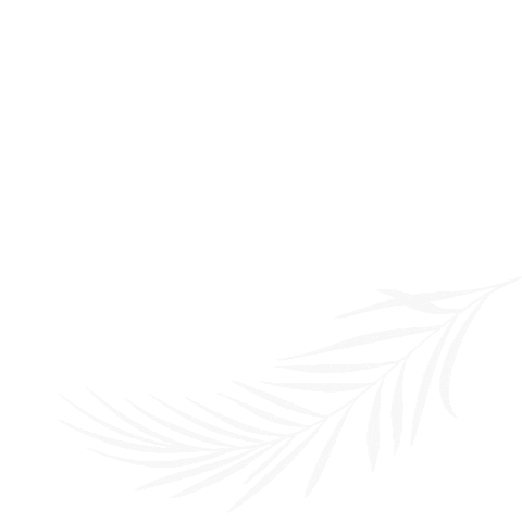 FloraDOMO giphyupload ss2020 successsummit marbella2020 Sticker