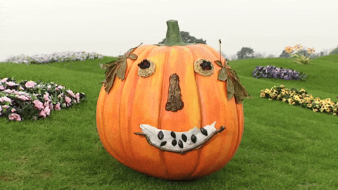 Halloween Fall GIF by Teletubbies