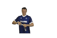 Soccer Bundesliga Sticker by Karlsruher SC
