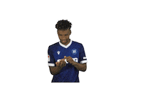Soccer Goal Sticker by Karlsruher SC