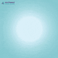 Vote Now Election Day GIF by Northwest Career College