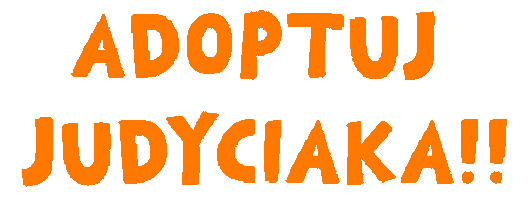 FundacjaJudyta giphyupload judyta fundacjajudyta judyciak Sticker
