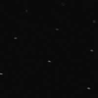 Fired Up GIF by Peace Eagle NFT