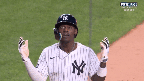 New York Yankees Baseball GIF by MLB