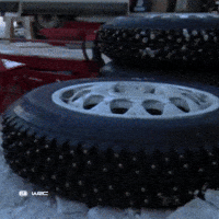 Rally Sweden Motorsport GIF by FIA World Rally Championship