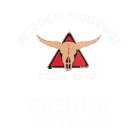 Cook Off Nrg Stadium Sticker by Enertia Software